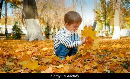 Porträt eines kleinen Kleinkindes, der im Herbstpark sitzt und gefallene Baumblätter pflückt. Stockfoto