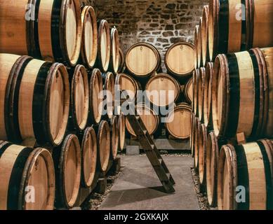 Domaine Leflaive Fasskeller Puligny Montrachet Burgundy Cote d'Or Frankreich. Domaine Leflaive ist ein Weingut in Puligny-Montrachet, Côte de Beaune, Burgund. Die domaine ist für ihre Weißweine sehr geschätzt und ihre Weingüter umfassen 5.1 Hektar (13 Hektar) Grand Cru-Weinberge, insbesondere in den Grand Montrachet-Weinbergen Stockfoto