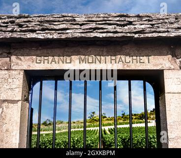 LE MONTRACHET steinerner Eingang zum feinsten weißen Chardonnay-Wein der Welt, dem Grand Montrachet Grand Cru Weinberg, Puligny-Montrachet, Côte d'Or, Frankreich. [Côte de Beaune Grand Cru] Stockfoto