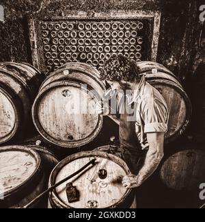 Weinarbeiter in Fasskeller Verkostung roten Burgunder Wein in den Kellern von Louis Latour Chateau de Grancey Aloxe Corton Cote d'Or Burgund Frankreich B&W getönten Bild Retro-Jahrgang Stockfoto