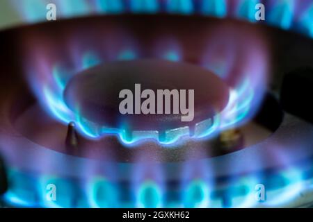 Gasbrand mit blauen Flammen auf dem Brenner eines Gasherdes. Konzept des CO2-Fußabdrucks und des Preises von Erdgas auf dem Markt Stockfoto