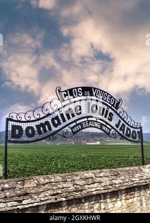 CLOS DE VOUGEOT CHATEAU WEINBERG mit Domaine Louis Jadot Zeichen im Vordergrund Cote d'Or Cote de Nuits Burgund Frankreich Stockfoto