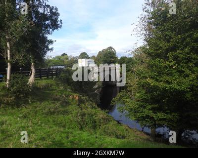 Tongland Bridge in der Nähe von Kirkcudbright, Dumfries & Galloway, Schottland. Es wurde von Thomas Telford (1757-1834) entworfen. In der Nähe befindet sich das Wasserkraftwerk Tongland. Die Brücke war zum Zeitpunkt ihrer Errichtung die erste große in Schottland. Sie wurde in den Jahren 1804-8 erbaut und ersetzte eine ältere Brücke stromaufwärts und war die erste Brücke, die anstelle eines massiven Mauerbogens gewichtssparende hohle Rippenspandrels hatte. Obwohl die Bauweise wunderschön ist, kann die ganze Pracht nur von Spaziergängern auf dem nahe gelegenen Fußweg am Fluss geschätzt werden, wie man sie von der Straße über nicht in ihrer Gesamtheit sehen kann. Stockfoto