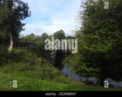 Tongland Bridge in der Nähe von Kirkcudbright, Dumfries & Galloway, Schottland. Es wurde von Thomas Telford (1757-1834) entworfen. In der Nähe befindet sich das Wasserkraftwerk Tongland. Die Brücke war zum Zeitpunkt ihrer Errichtung die erste große in Schottland. Sie wurde in den Jahren 1804-8 erbaut und ersetzte eine ältere Brücke stromaufwärts und war die erste Brücke, die anstelle eines massiven Mauerbogens gewichtssparende hohle Rippenspandrels hatte. Obwohl die Bauweise wunderschön ist, kann die ganze Pracht nur von Spaziergängern auf dem nahe gelegenen Fußweg am Fluss geschätzt werden, wie man sie von der Straße über nicht in ihrer Gesamtheit sehen kann. Stockfoto