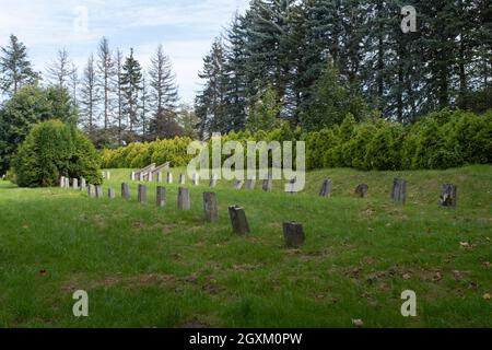 Bielsko-Biala, Polen - 28. September 2021. Friedhof und Gedenkstätte des sowjetischen Krieges in Bielsko-Biala. Neben 11,000 Gräbern der Soldaten der Roten Armee und der Offiziers Stockfoto