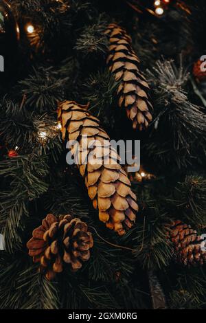 Waldkegel auf dem Weihnachtsbaum. Komposition zum neuen Jahr. Festliche Stimmung. Konzept für Winterurlaub Stockfoto