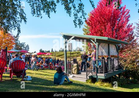 Festivalbesucher genießen eine Live-Band beim jährlichen Herbst Harvest Festival in der ländlichen Bauerngemeinde Green Bluff, Washington, in der Nähe von Spokane. Stockfoto