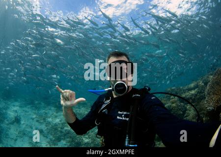 Scuba Diver Signale hängen lose oder "shaka" vor einer Schule von bigeye trevally, Caranx sexfasciatus, Sipadan, Malaysia Stockfoto