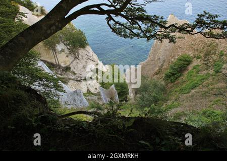 Kalksteinbildung bei Moens Klint, Ostküste. Stockfoto