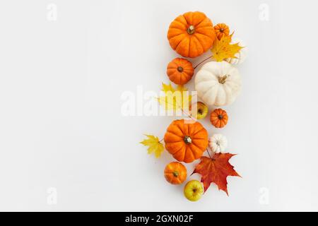 Kürbisse mit getrockneten Blättern auf weißem Hintergrund. Herbst, Herbst, halloween Konzept. Flach liegend, Draufsicht, Stockfoto