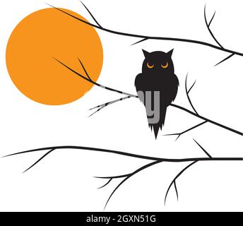 Eule Silhouette auf Ast bei Sonnenuntergang, Vektor. Eule Silhouette auf dem Baum, Illustration isoliert auf weißem Hintergrund. Cartoon-Illustration. Wandkunst, Kunst Stock Vektor