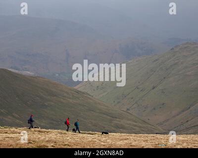 Drei anonyme Fernwanderer, die von der Berglandschaft in den Schatten gestellt werden, die mit Hunden über steilen Tälern im Nebel in der Nähe von High Street Cumbria, England, Großbritannien, wandern Stockfoto