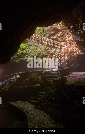 Große Höhlenöffnung mit Treppen nach draußen Stockfoto