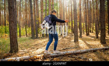 Junge Wanderin, die auf einem gefallenen Baumstamm im Wald herumläuft und balanciert. Stockfoto