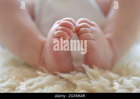 Babyfüße, Kleinkind, Mädchen, 10 Tage, Stuttgart, Baden-Württemberg, Deutschland Stockfoto