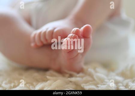 Babyfüße, Kleinkind, Mädchen, 10 Tage, Stuttgart, Baden-Württemberg, Deutschland Stockfoto