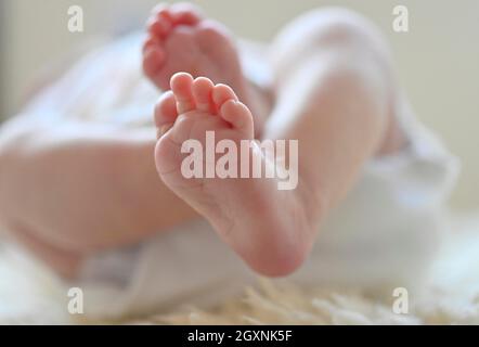 Babyfüße, Kleinkind, Mädchen, 10 Tage, Stuttgart, Baden-Württemberg, Deutschland Stockfoto