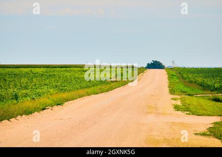 Offene Schotterstraße durch Ackerland Stockfoto