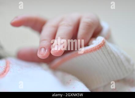 Baby hands, Baby, Mädchen, 10 Tage, Stuttgart, Baden-Württemberg, Deutschland Stockfoto