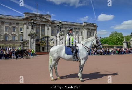 Berittene Polizistin, Wachablösung, Buckingham Palace, London, England, Vereinigtes Königreich Stockfoto