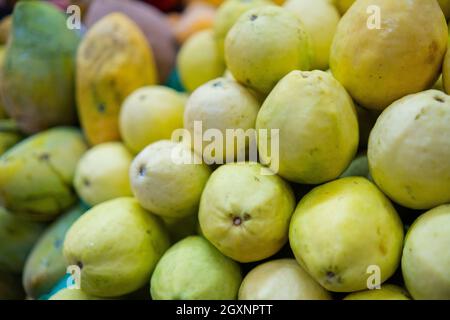 Nahaufnahme eines farbenfrohen Obststands mit einem Haufen frischer gelber Guaven und Mangos. Saftig aussehende tropische Früchte zum Verkauf auf Stand im klassischen mexikanischen M Stockfoto