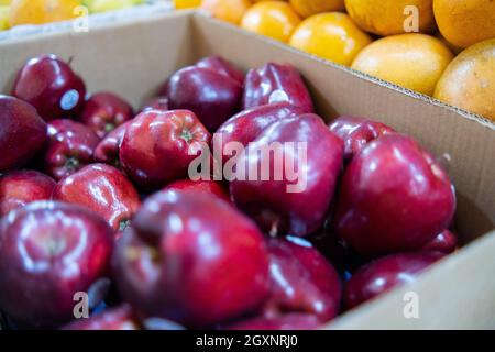 Nahaufnahme von frischen roten Äpfeln in einem Karton neben dem Orangenhaufen. Saftig aussehende Früchte zum Verkauf auf dem Stand im klassischen mexikanischen Markt. Natürlich Stockfoto