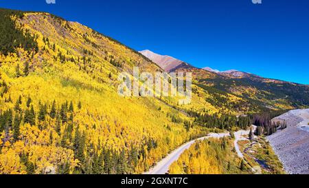 Straße neben schönen Espenbäumen im Herbst wurde goldgelb Stockfoto