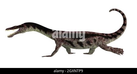 Nothosaurus Reptile Walking - Nothosaurus war ein fleischfressendes marines Reptil, das während der Trias in den Meeren lebte. Stockfoto