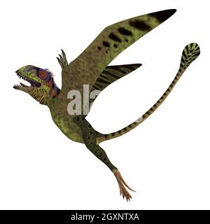Peteinosaurus war ein fleischfressender Pterosaurier, der in der Trias-Zeit in Italien lebte. Stockfoto