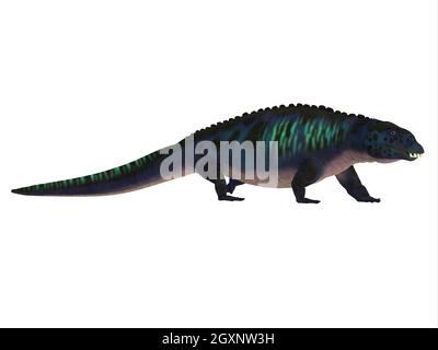 Placodus war ein fleischfressendes marines Reptil, das während der Trias Europas und Chinas lebte. Stockfoto