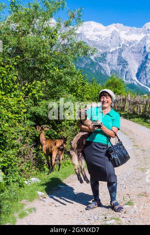 Schäferin und ihre Ziegen, Thethi Dorf Thethi Tal, Albanien Stockfoto