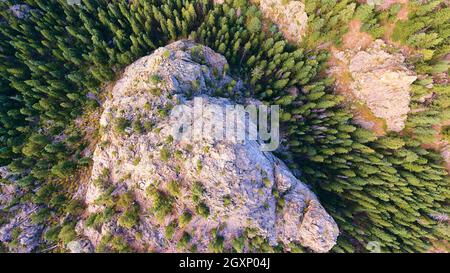 Luftaufnahme von Blick auf Felsberg und Pinien Stockfoto