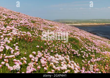 Brouch of Birsay, Orkney, Schottland, Vereinigtes Königreich Stockfoto