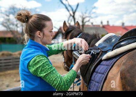 Gesattelte Pferde auf dem Bauernhof vor dem Ausritt. Stockfoto