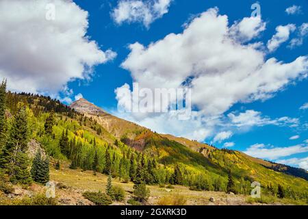 Landschaft von Bergen bedeckt mit Herbst Espenbäumen und Pinien Stockfoto