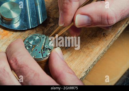 Der Uhrmacher repariert den Mechanismus einer alten Uhr (im Fokus) in einer Nahaufnahme an seinen Händen und einer Pinzette über einer hölzernen Werkbank Stockfoto