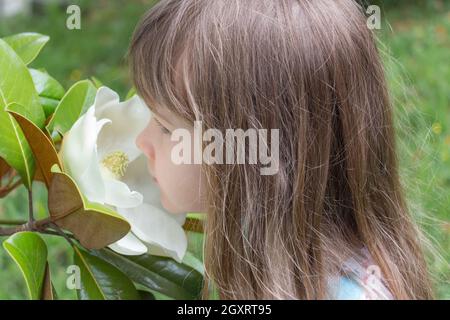 Die Ansicht eines jungen Mädchens, das große weiße Magnolienblüten riecht. Stockfoto