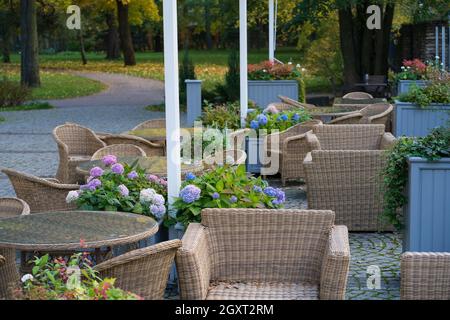 Gemütliche Café-Terrasse im Herbstpark: Komfortable Korbmöbel auf der Terrasse. Gartenrestaurant in der Natur Stockfoto