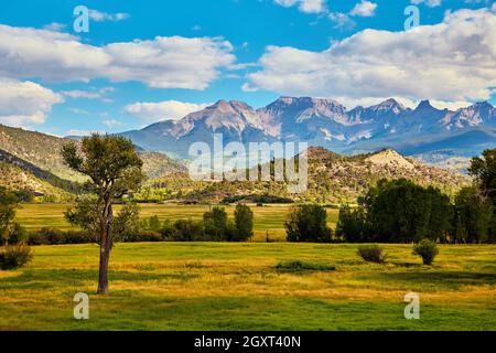 Eineinziger Baum im Feld mit majestätischer Bergkette im Hintergrund Stockfoto