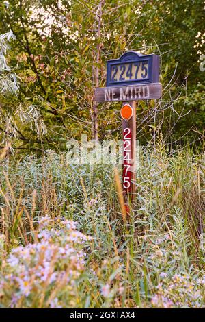 Nahaufnahme des Straßenschilds, das in üppig grünen Pflanzen versteckt ist Stockfoto