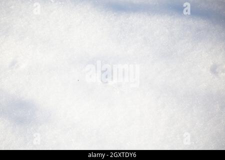 Kleine Tierspuren in einem Hof, der mit Winterniederschlägen bedeckt ist Stockfoto