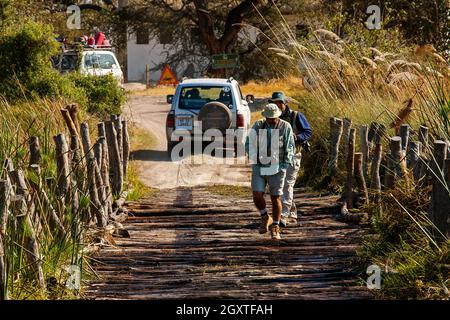 Safari-Auto über die beliebte Third Bridge, Moremi Game Reserve, Botswana Stockfoto