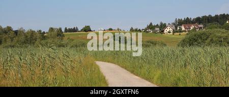 Grüne Landschaft in der Nähe von Wetzikon, Schweiz. Stockfoto