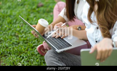 Das abgeschnittene Bild einer Studentin sitzt in einem grünen Park und arbeitet gemeinsam an ihrem Projekt in einem Laptop-Computer Stockfoto