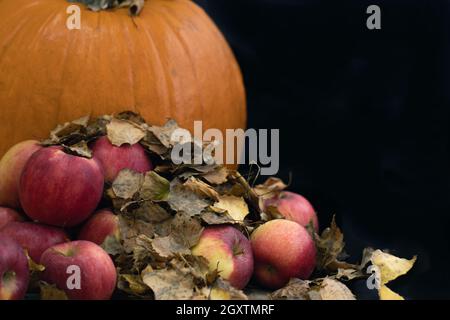 Dekorieren Sie den Küchentisch für Halloween mit großen orangefarbenen Kürbis, Äpfeln und Herbstblättern. Herbst Kürbis Hintergrund. Stockfoto