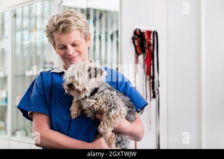 Glücklich reifen weiblichen Tierarzt mit kranken Welpen im Krankenhaus Stockfoto