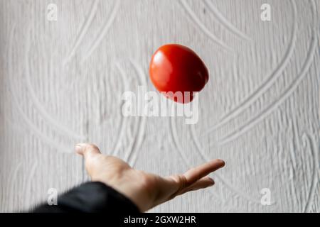 Handwerfende Tomate mit weißer strukturierter Wand als Hintergrund Stockfoto