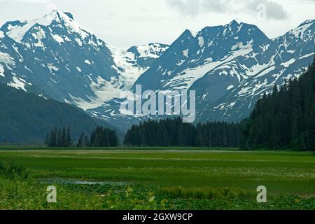 Wilde malerische Aussicht auf ein Sumpfgebiet und schneebedeckte Berge, Kenai Peninsula, Alaska, USA Stockfoto