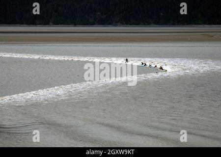 Surfer im kalten Wasser reiten auf einer gebohrten Gezeitenwelle im Turnagain Arm des Cook Inlet, Anchorage, Alaska, USA Stockfoto