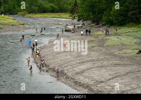 Freizeitlachs-Fliegenfischen im Bird Creek, Anchorage, Alaska, USA Stockfoto